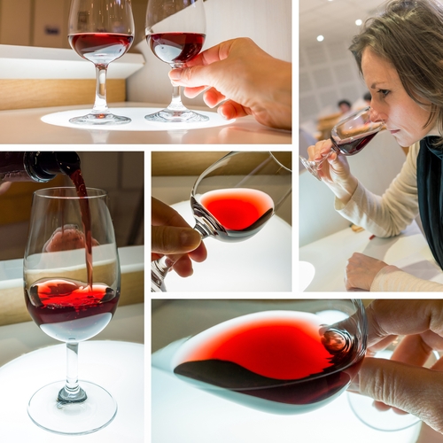 Formation à la dégustation des vins pour les professionnels